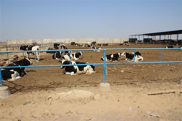 ������w�|Ѻ